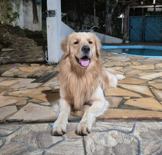 Nossa Experiência em Socorro-SP: Férias com o Theo